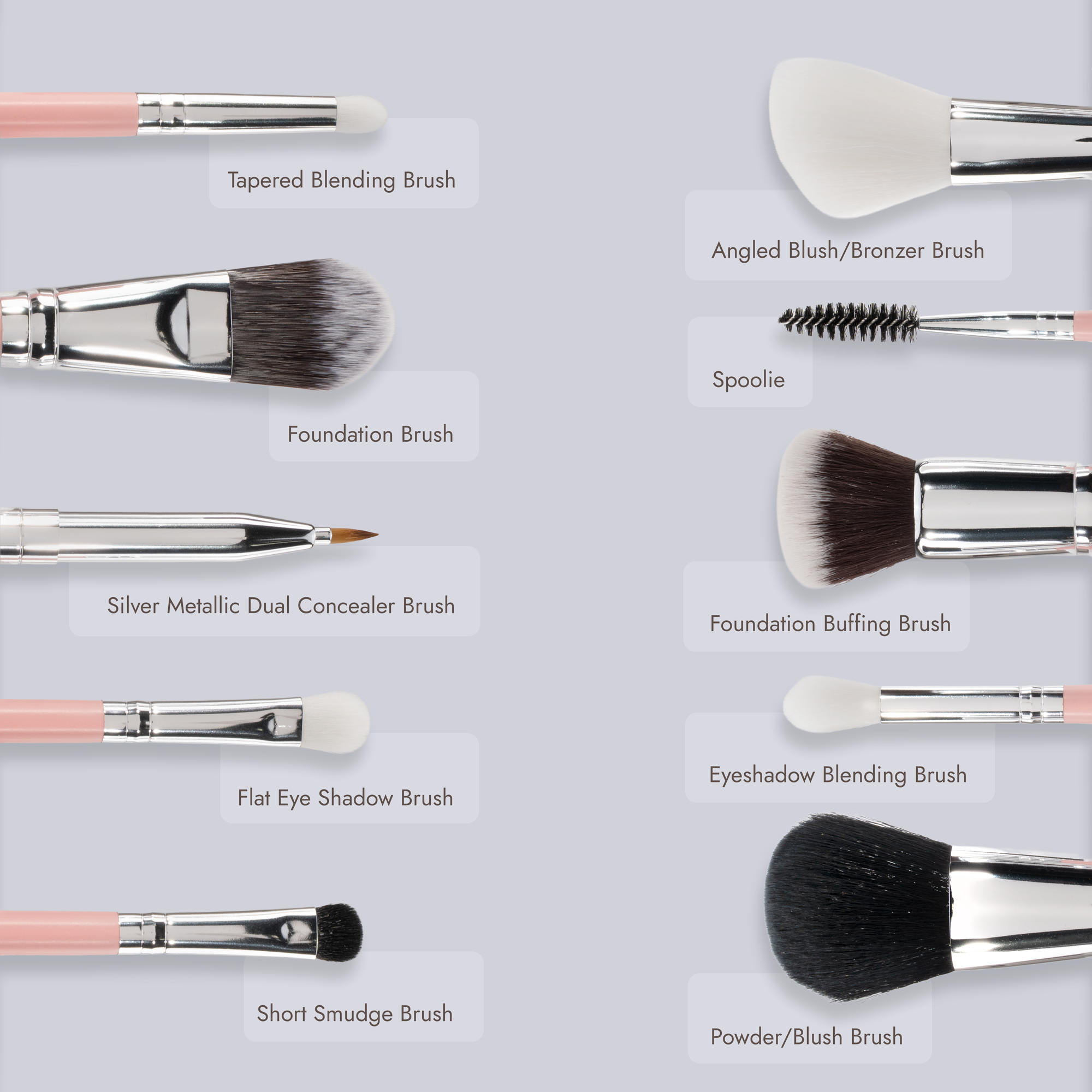 Nine labeled makeup brushes from the Nikol Beauty Essential Makeup Brush Set, each featuring unique brush heads and sizes, are arranged on a light gray background. The labels indicate a variety of uses—blending, foundation, concealer, blush, eyeshadow, spoolie, and powder—making this vegan set an ideal travel kit for your daily routine or on-the-go touch-ups.