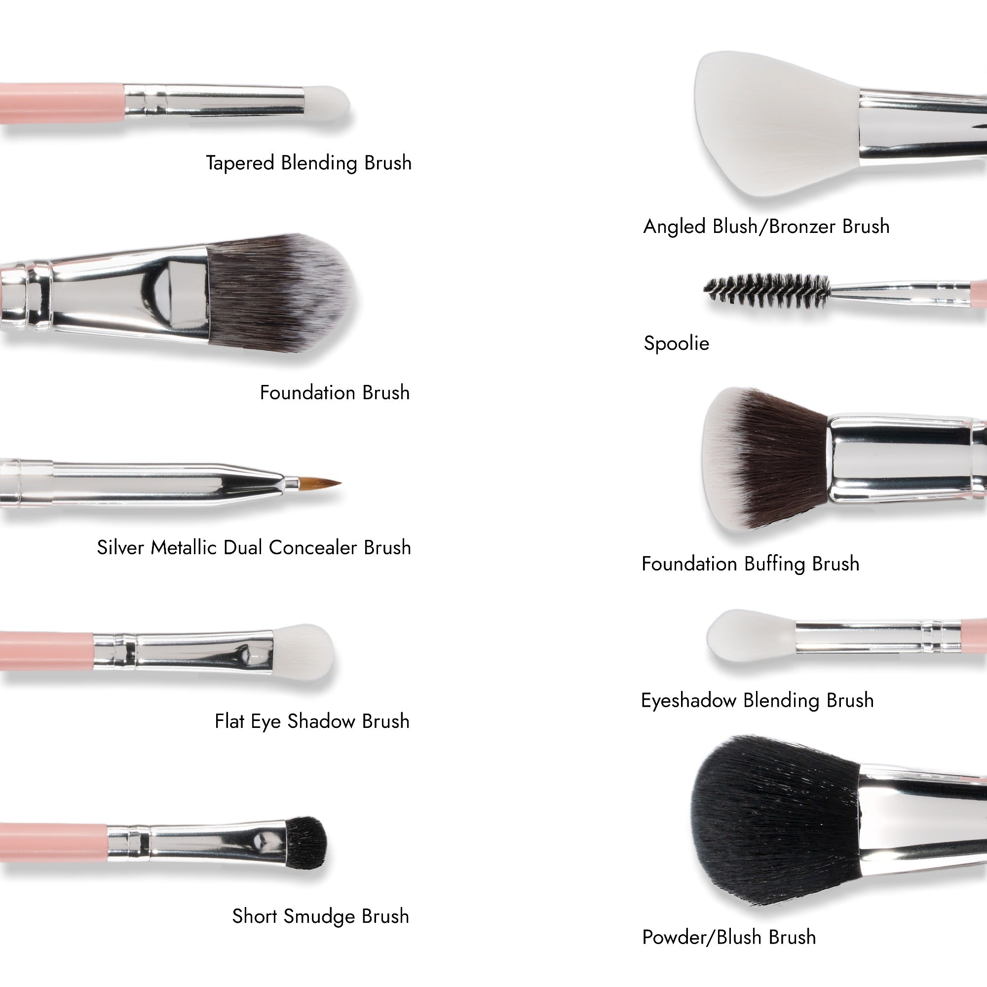 Guide to the ten brush tips in the Essential Makeup Brush Set, each labeled by name, from the Tapered Blending Brush to the Powder/Blush Brush