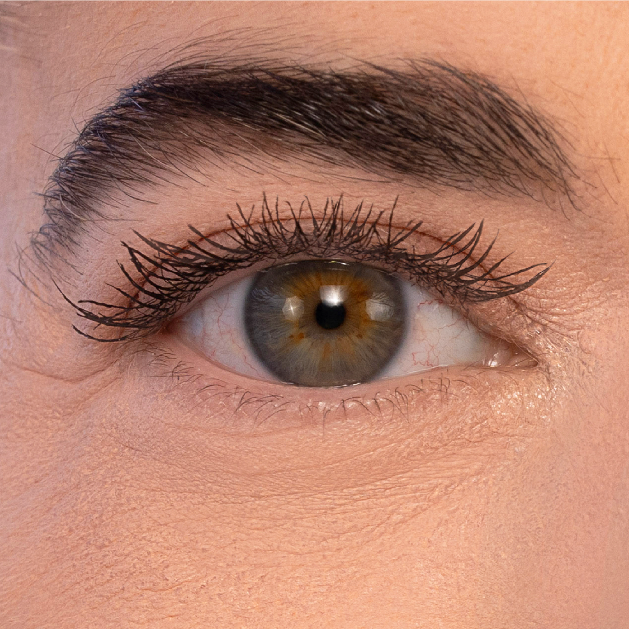 Close-up of the under-eye after the concealer is tapped in and set